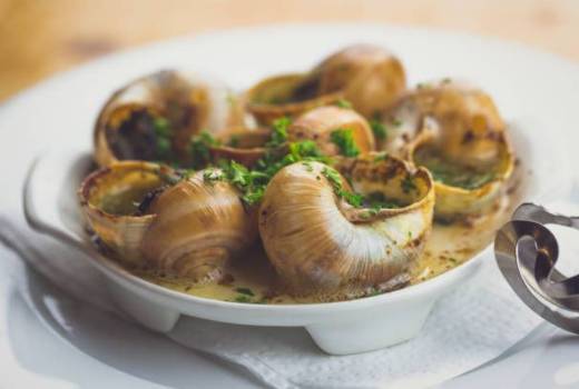 A plate of escargot taught by the personal chefs of The Travelling Cafe