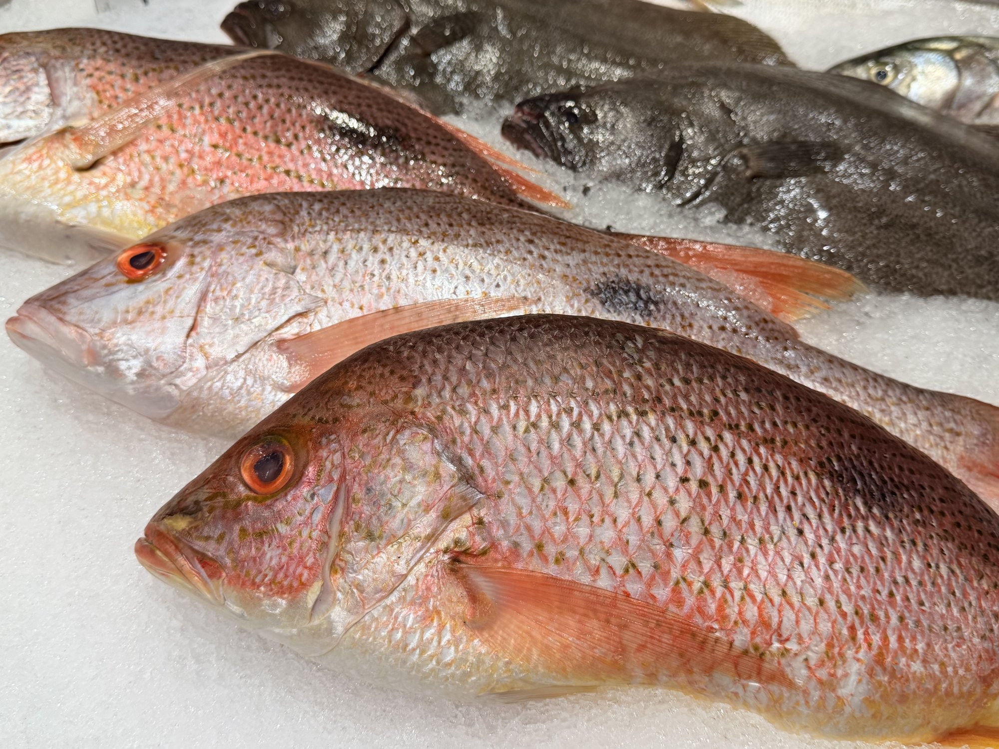 Fresh whole fish for an AIP meal